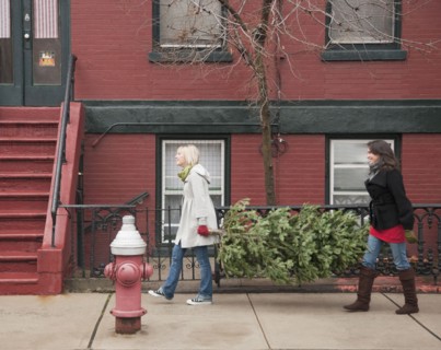 Women carrying Christmas tree on urban street. Photographe : Jamie Grill