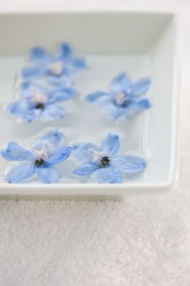 Tropical flowers in bowl of water.