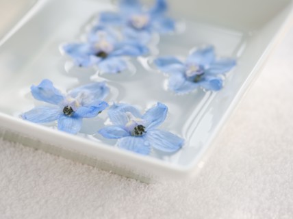 Tropical flowers in bowl of water.