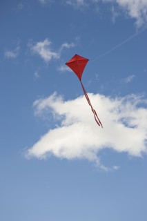 Red kite in sky.