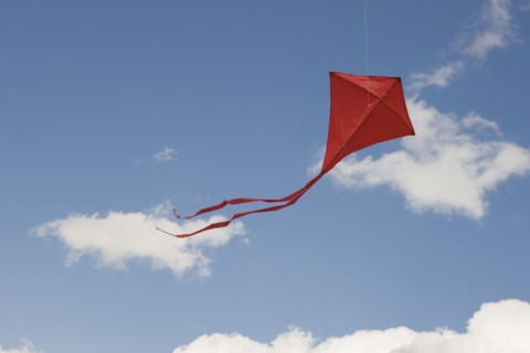 Red kite in sky.