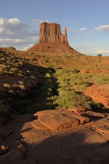 Desert landscape.