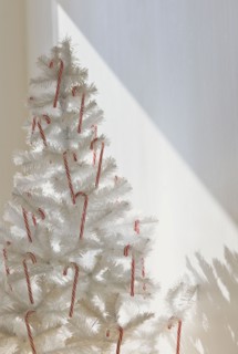 Candy canes on artificial Christmas tree.