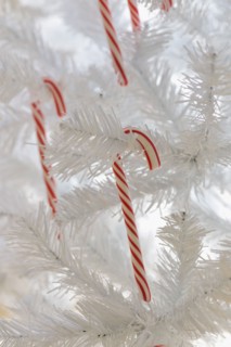 Candy canes on artificial Christmas tree.