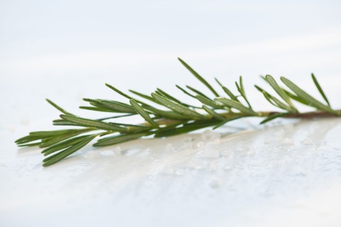 Twig of rosemary.