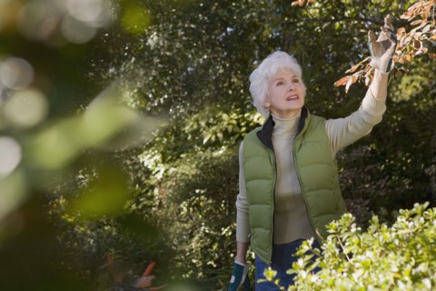 Senior woman in orchard. Photographe : mark edward atkinson