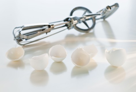 Wire whisk and eggshells.