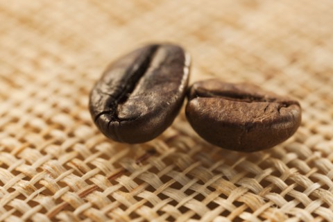 Two roast coffee beans on fabric, studio shot.