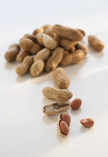 Peanuts, studio shot.