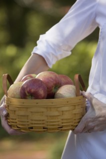 Senior woman holding basket with apples. Photographe : mark edward atkinson