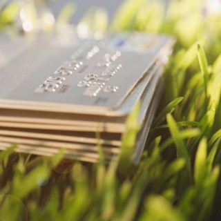 Credit cards on grass. Photographe : Jamie Grill