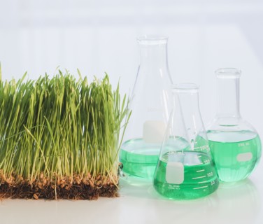 Chemicals in flasks beside grass. Photographe : Jamie Grill