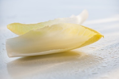 Two leaves of endive on wet surface.