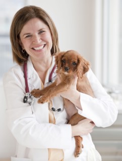 Vet holding puppy.