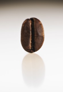 Coffee bean.