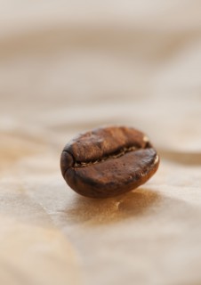 Coffee bean.