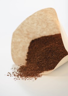 Coffee in filter.