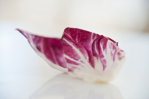 A leaf of radicchio.