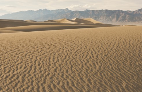 Sand dunes in the desert.