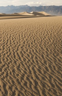 Sand dunes in the desert.