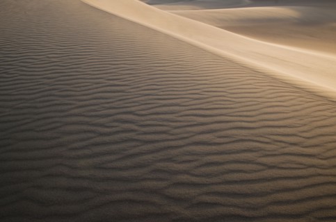 Sand dunes in the desert.