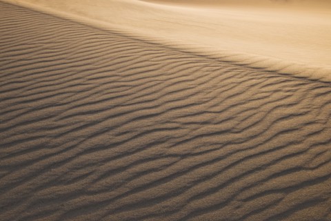 Sand dunes in the desert.
