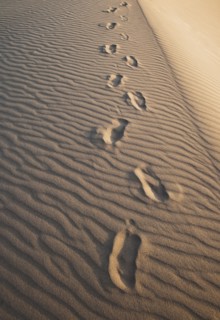 Sand dunes in the desert with footprints.