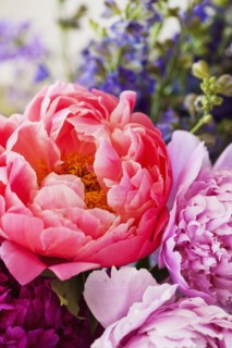 Assorted flowers