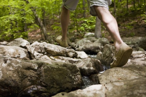 A man at a stream in the woods