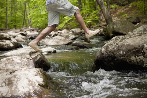 A man at a stream in the woods