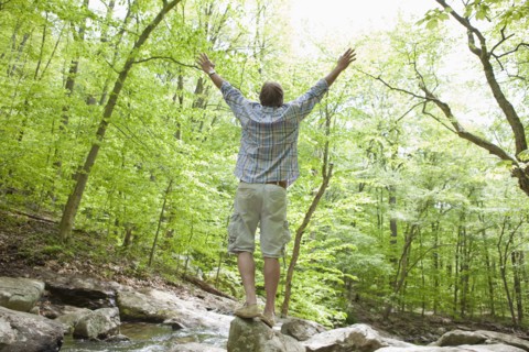 A man at a stream in the woods