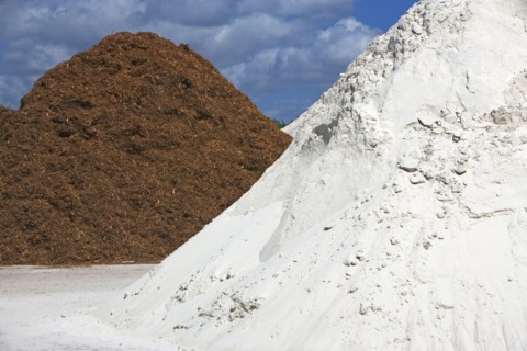 Organic residue at Delray Beach