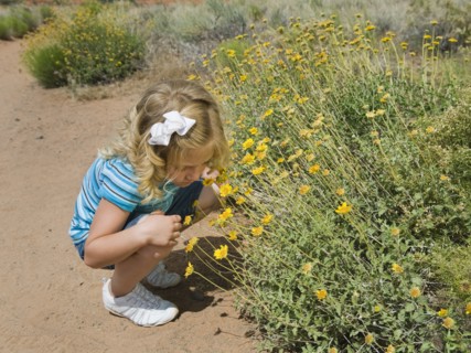 A young girl by wildflowers in Red Rock