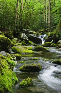 Flowing creek