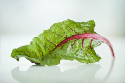 Swiss chard.
