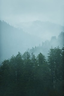 Mountain landscape with trees.