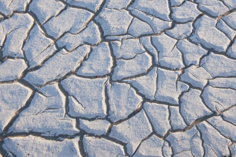 Cracked earth.