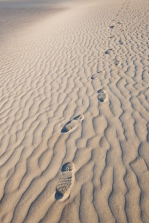 Sand dunes in the desert with footprints.