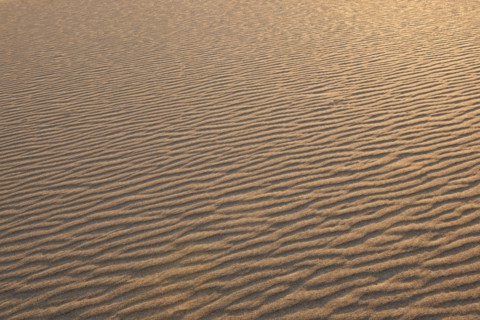 Sand dunes in the desert.