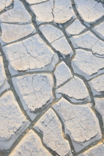 Cracked earth.