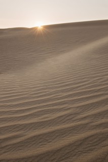 Sand dunes in the desert.