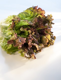 A head of lettuce.