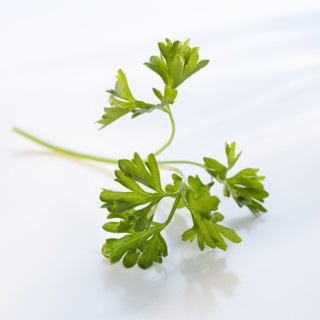 A sprig of parsley.