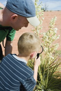 A father and son at Red Rock examining plants