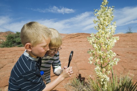 Two young boys at Red Rock