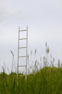A ladder standing upright in a field