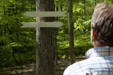 Arrow signs in the woods