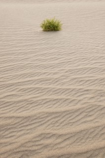 Sand dunes in the desert.