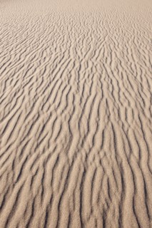 Sand dunes in the desert.