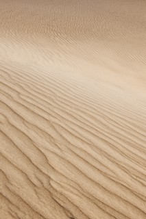 Sand dunes in the desert.